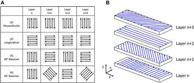 An Efficient Track-Scale Model for Laser Powder Bed Fusion Additive Manufacturing: Part 2—Mechanical Model